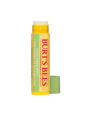 Burt's Bees Cucumber Mint Lip Balm 4.25g