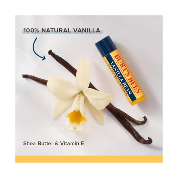 Burt's Bees Vanilla Bean Lip Balm 4.25g